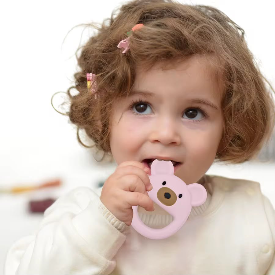 Anneau de Dentition Ourson